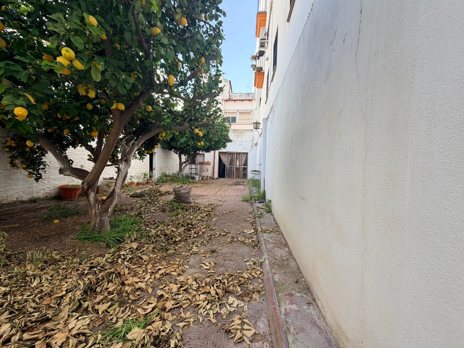 Foto 15