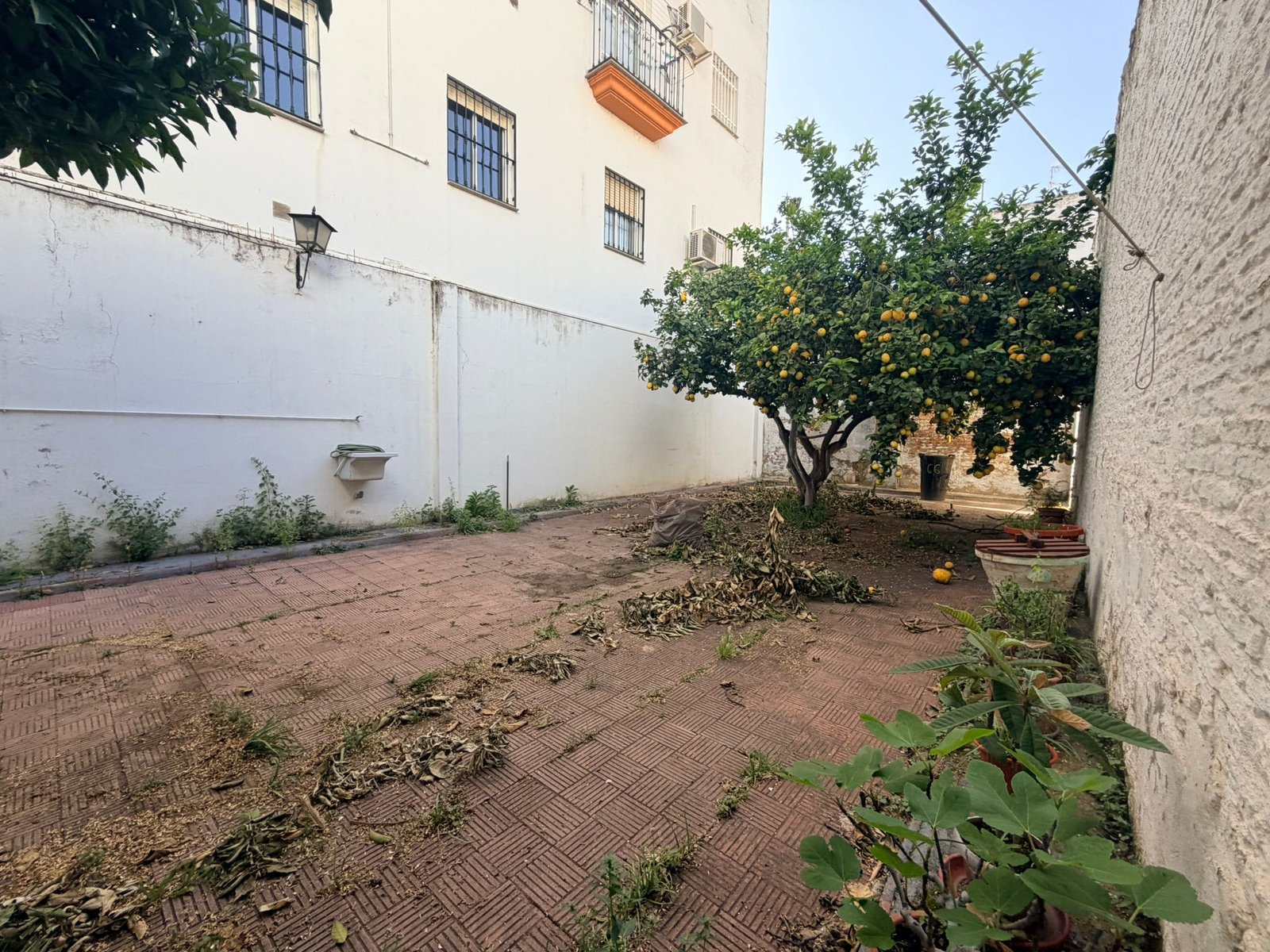 Foto 9